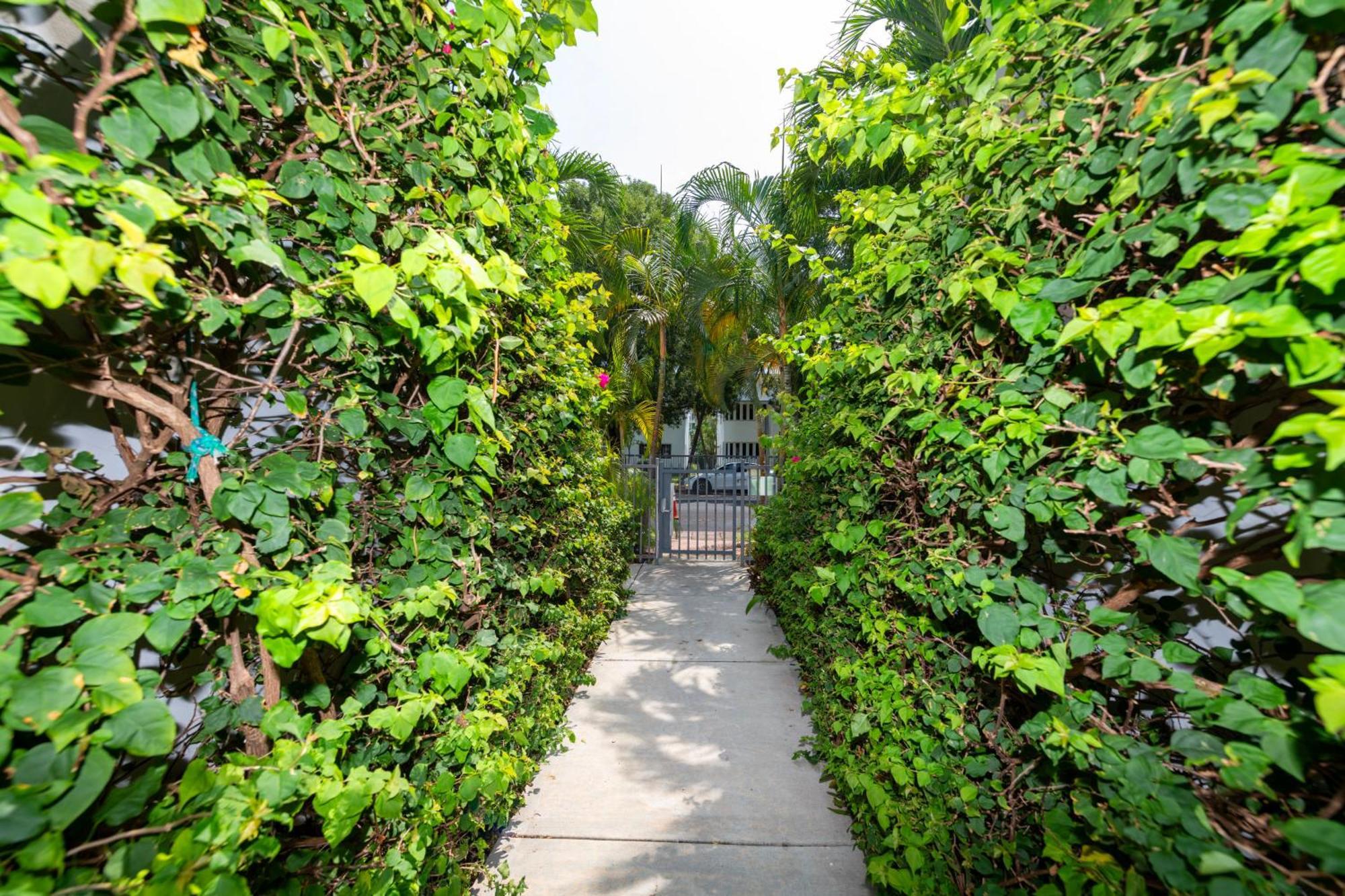 Sunny Days Apartments Miami Beach Dış mekan fotoğraf